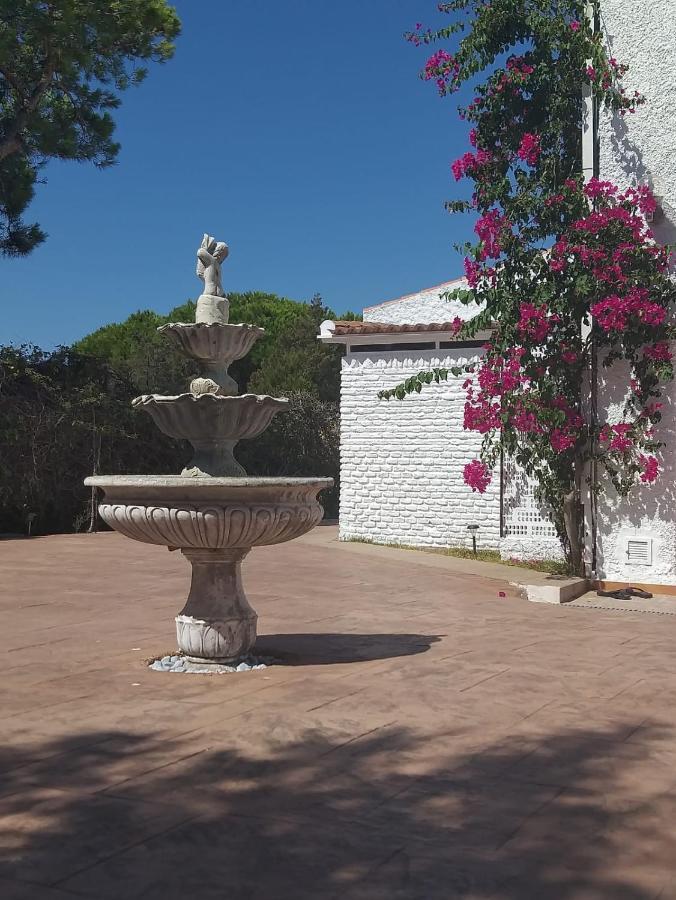 Entre Pinos Y Playa Lägenhet Matalascañas Exteriör bild